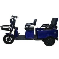 Электротрицикл Yasmand Трансформер Li-ion синий